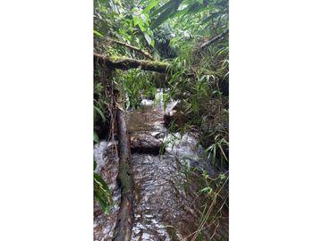 Se Vende Finca Pequeña en Filandia vía a Quimbaya