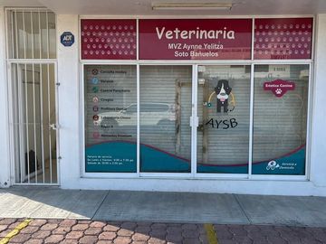 PLAZA COMERCIAL EN VENTA EN CORREGIDORA QUERETARO