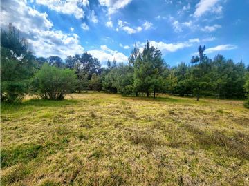 RESERVA B33 TERRENOS EN VENTA, VALLE DE BRAVO