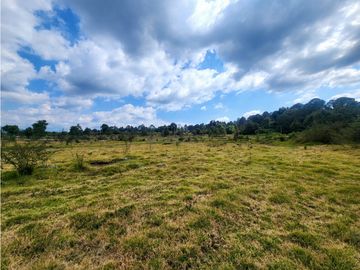 RESERVA B33 TERRENOS EN VENTA, VALLE DE BRAVO