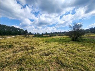 RESERVA B33 TERRENOS EN VENTA, VALLE DE BRAVO