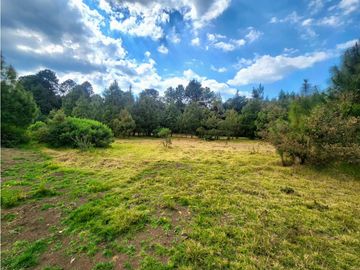 RESERVA B33 TERRENOS EN VENTA, VALLE DE BRAVO
