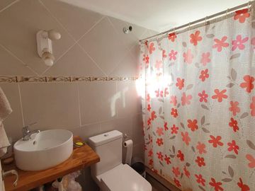 Casa en  venta 2 dorm -  San Martin de los Andes Vega plana Callejon Juan Pablo torres