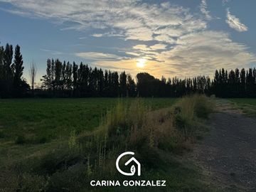 Chacra en  Cipolletti