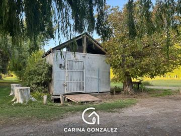 Chacra en  Cipolletti