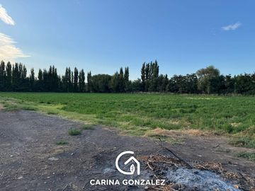 Chacra en  Cipolletti