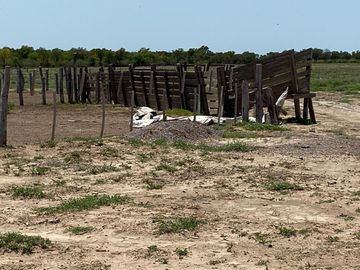 Campo en El Colorado