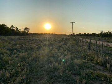Campo en El Colorado