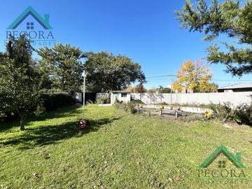 Quinta - Pilar - La delfina - Pagnano 1223