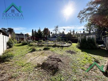 Quinta - Pilar - La delfina - Pagnano 1223