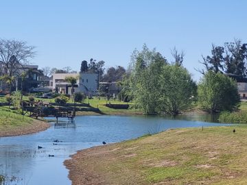 VENTA, LOTE, GREENVILLE VILLA 8 AL 100