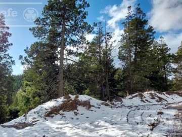 Departamento en venta 3 ambientes km1 Av. Pioneros  - San Carlos De Bariloche