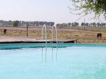 Venta Chacra de 5has en Santa María de Lobos