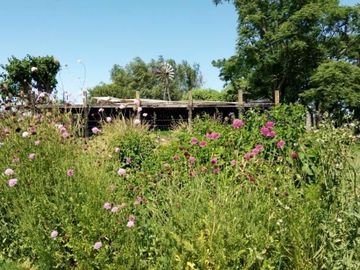Venta Chacra de 5has en Santa María de Lobos