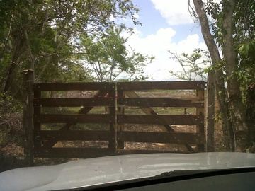 VENTA RANCHO MEZCALERO Y DE MADERAS EN KANTUNIL YUCATAN