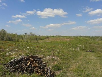 VENTA RANCHO MEZCALERO Y DE MADERAS EN KANTUNIL YUCATAN