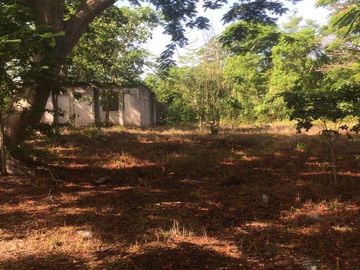 VENTA RANCHO MEZCALERO Y DE MADERAS EN KANTUNIL YUCATAN