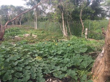 VENTA QUINTA EN KANASIN YUCATAN