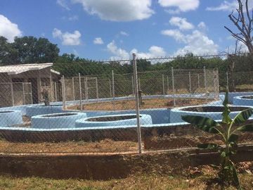 VENTA QUINTA EN KANASIN YUCATAN