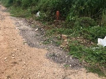 Más de 5ha en venta en la Reserva Cuxtal, ideal para proyecto turístico o rancho