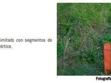 Más de 5ha en venta en la Reserva Cuxtal, ideal para proyecto turístico o rancho