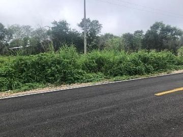 Más de 5ha en venta en la Reserva Cuxtal, ideal para proyecto turístico o rancho