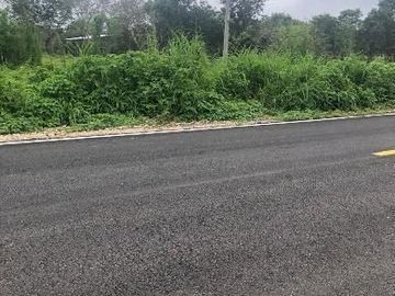 Más de 5ha en venta en la Reserva Cuxtal, ideal para proyecto turístico o rancho