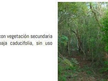 Más de 5ha en venta en la Reserva Cuxtal, ideal para proyecto turístico o rancho
