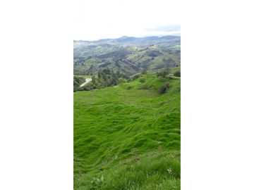 Se Venden Lotes en Parcelación en Yarumal
