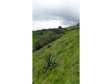 Se Venden Lotes en Parcelación en Yarumal