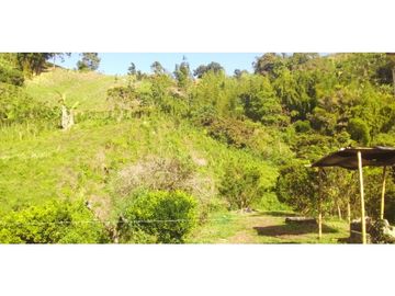 Finca agroindustrialen Venta Quinchia Risaralda Caldas