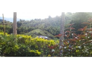 Finca agroindustrialen Venta Quinchia Risaralda Caldas