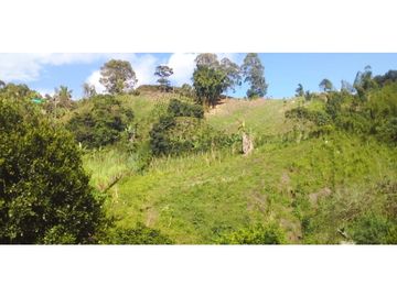Finca agroindustrialen Venta Quinchia Risaralda Caldas