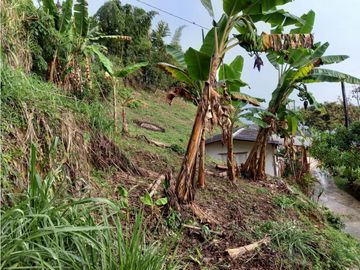 Finca Fredonia