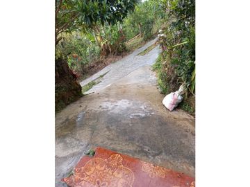 Finca Fredonia