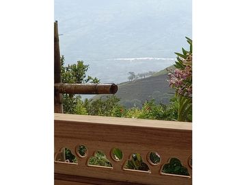 Finca Fredonia