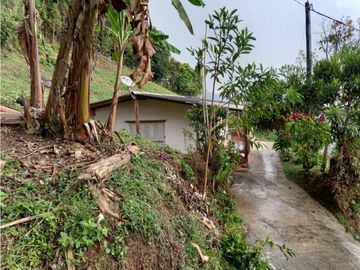 Finca Fredonia
