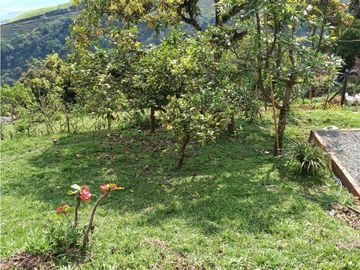 Finca Fredonia
