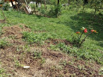 Finca Fredonia