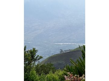 Finca Fredonia