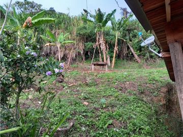 Finca Fredonia