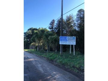 VENTA DE 9,6 HECTREAS DE QUINTA CON VIVIENDAS ÚNICAS Y GALPÓN