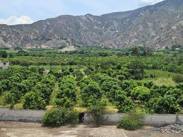 TERRENO DE VENTA EN AMBUQUI DE OPORTUNIDAD