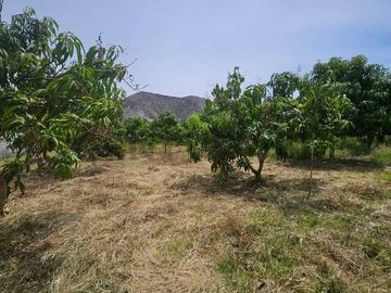 TERRENO DE VENTA EN AMBUQUI DE OPORTUNIDAD