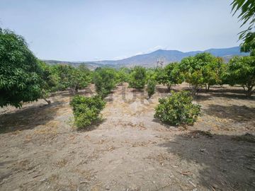 TERRENO DE VENTA EN AMBUQUI DE OPORTUNIDAD