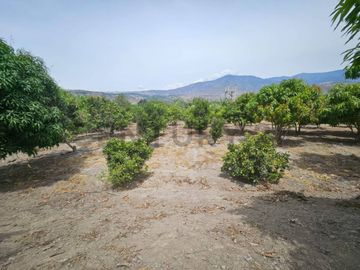 TERRENO DE VENTA EN AMBUQUI DE OPORTUNIDAD