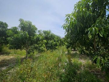 TERRENO DE VENTA EN AMBUQUI DE OPORTUNIDAD