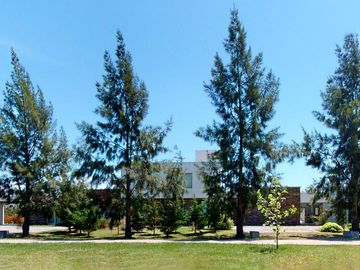 Casa - Campos de Roca
