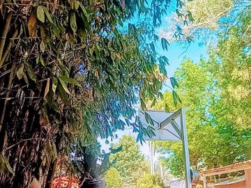 CASA DE CAMPO EN LOS PINOS CAMPESTRE ZAPOPAN
