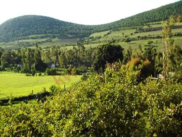 TERRENO EN VENTA DE 8,395 m2 EN ZONA CAMPESTRE Y TRANQUILA